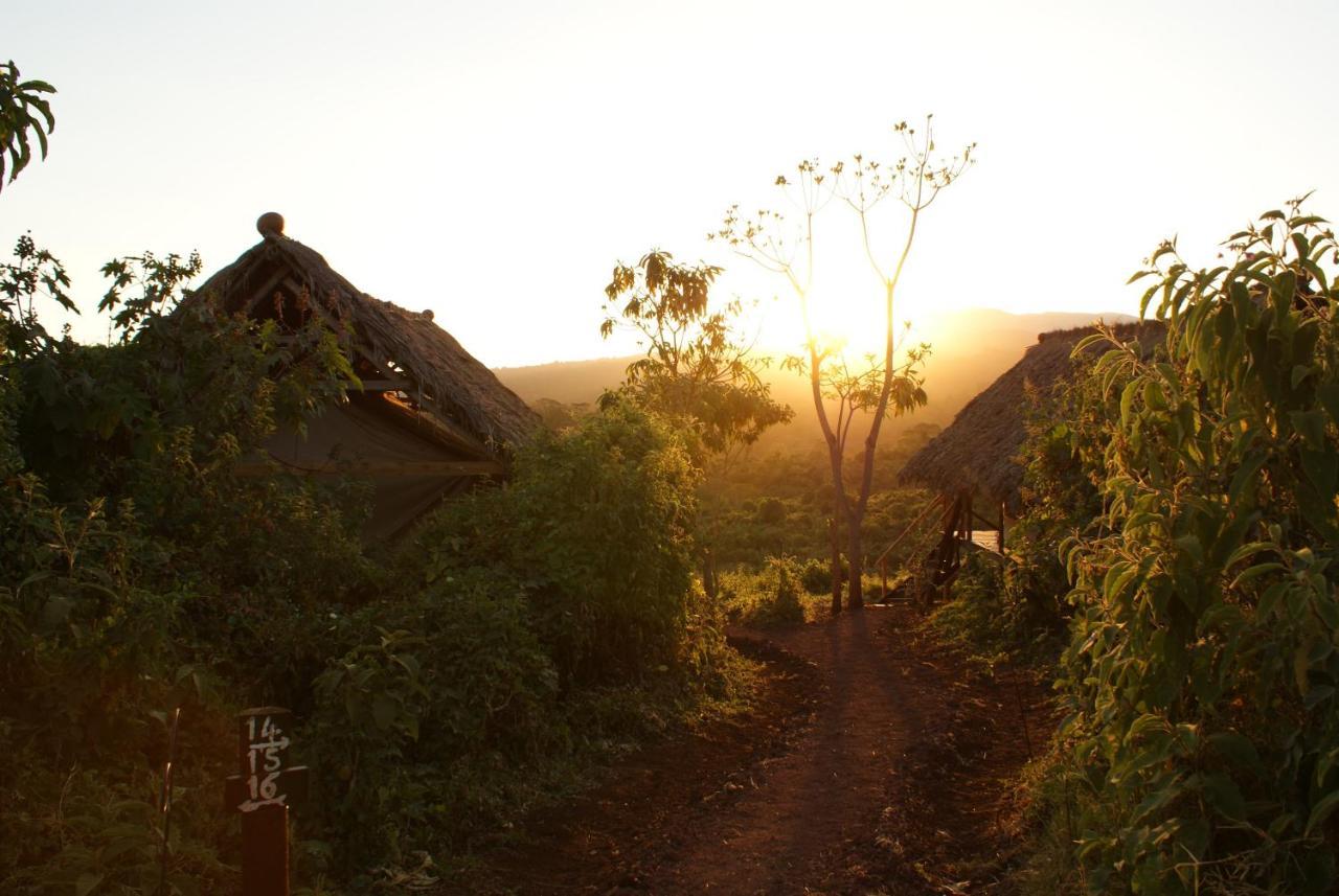 Crater Forest Tented Lodge Karatu Bagian luar foto